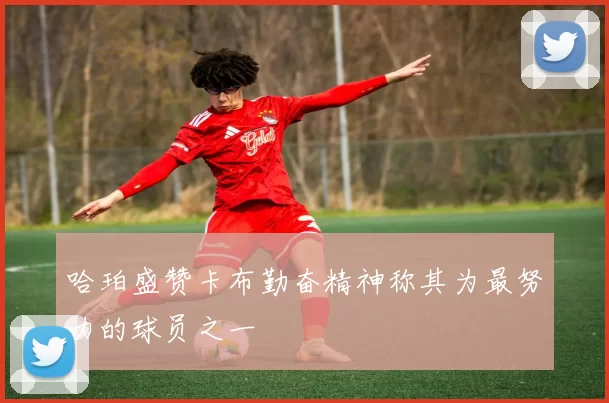哈珀盛赞卡布勤奋精神称其为最努力的球员之一